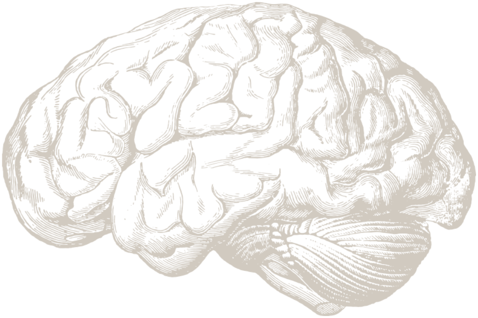 Ilustración vintage de un cerebro, logo de Brain Power CR